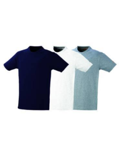 Lot 3 tee-shirts blanc, noir et gris